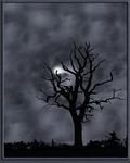 pic for dark tree
